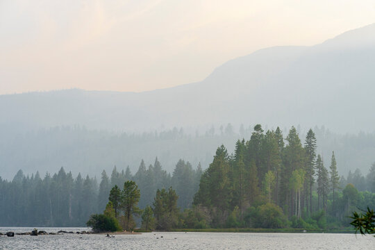 Wildfire smoke above forest