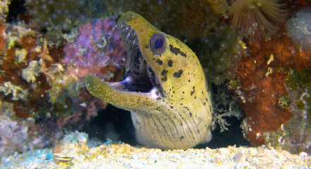 Ocean (88324) © Paul