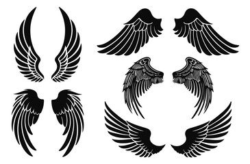 Eagle bird wings and angel wings silhouette ornament set. Coloring page art, angelic feathered graphics illustration. Hawk wings vector.