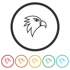 Falcon head icon. Set icons in color circle buttons