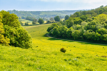 Beautiful view of the Kent Downs at Lydden near Dover in Kent, England