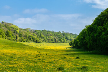 Naklejka premium Beautiful view of the Kent Downs at Lydden near Dover in Kent, England