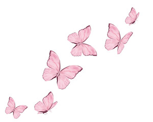 Pink watercolor butterfly hand drawn design vector art