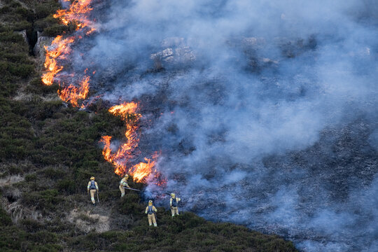 Bushfire against the wind