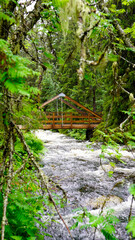 Forest bridge over heavy stream 