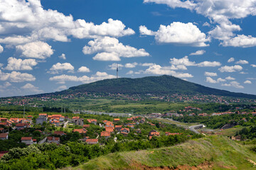Fototapeta premium landscape with flowers and mountains