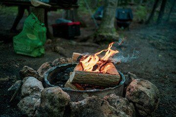 campfire in the forest