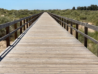 Fototapeta premium Pasarelas de madera que llevan a la playa. Tavia, Sur de Portugal. 
