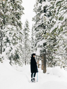 A woman`s winter fashion outfit in the forest
