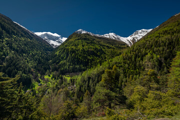 Grund settlement in green valley near Brig town in spring morning