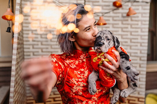 lunar new year puppy