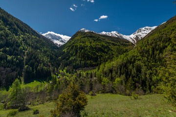 Grund settlement in green valley near Brig town in spring morning