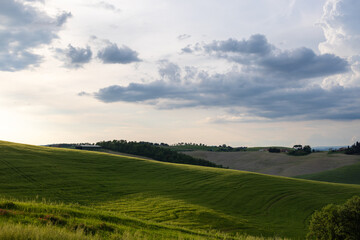 green field and sky in tuscany italy at sunset