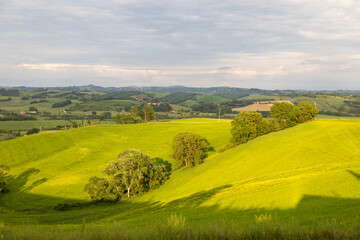 rolling hills on a sunny day in tuscany italy