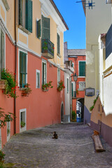 A narrow street in Pietravairano, a  rural town in Campania, Italy.