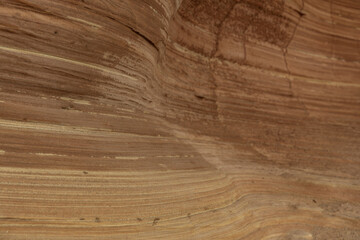 Intricate Sandstone Swirls and Erosion Patterns