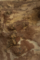 Weathered Sandstone with Multicolored Erosion Marks