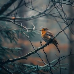 A bird sits on a branch surrounded by trees