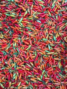Mixed colour hot chilies