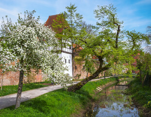 Fototapete bei efototapeten.de bestellen