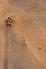 Sandstone Formation with Honeycomb Weathering