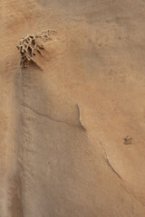 Sandstone Formation with Honeycomb Weathering
