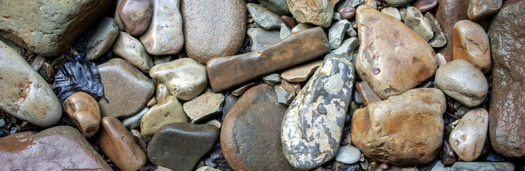Wet stone pebbles, top view. Large and small pebbles on the river bank close-up. Wet stones on the...