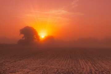A misty morning sunrise
