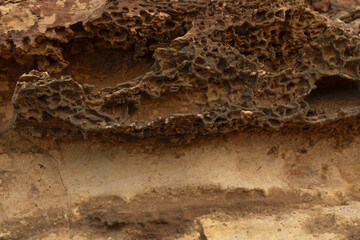 Intricate Honeycomb Weathering on Sandstone Rocks