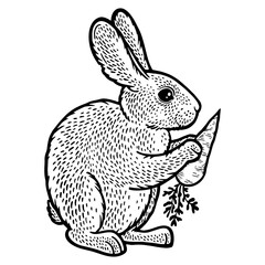 rabbit hare bunny with carrot sketch engraving PNG illustration. T-shirt apparel print design. Scratch board imitation. Black and white hand drawn image.