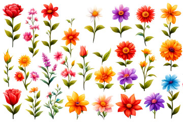 set of flower isolated on white transparent png clip art