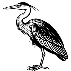 heron-side-view-on-white--vector-illustration