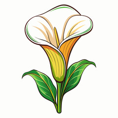 Calla Lily flower cartoon style Icon Vector clipart Illustration