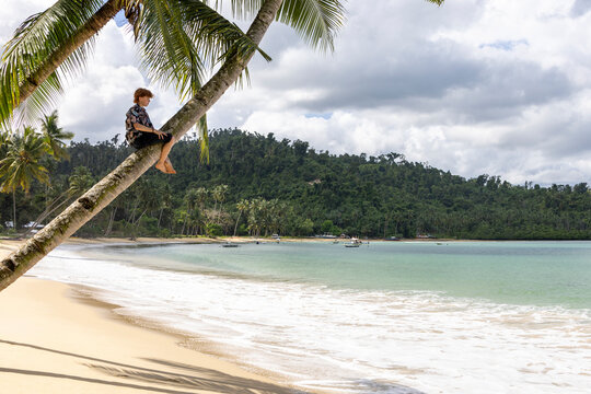 Boy in a palm tree