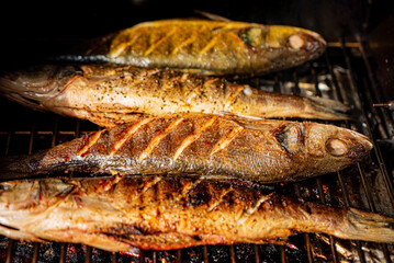 grilled fish on the grill