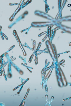 Intricate 3D Representation of Chromosomal Structures and DNA