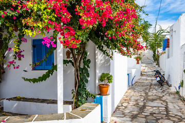 White Greek house decorated with bougainvillea flowers in narrow street or Artemonas village, Sifnos island, Greece