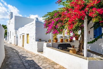 Typical white Greek houses decorated with purple bougainvillea flowers in Artemonas village, Sifnos...