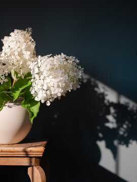 White hydrangeas arrangement in a dark room