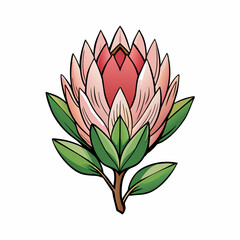 Protea flower cartoon style Icon Vector clipart Illustration