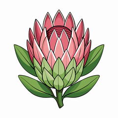 Protea flower cartoon style Icon Vector clipart Illustration