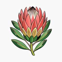 Protea flower cartoon style Icon Vector clipart Illustration