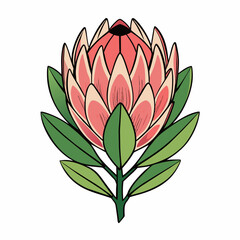 Protea flower cartoon style Icon Vector clipart Illustration