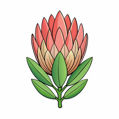 Protea flower cartoon style Icon Vector clipart Illustration