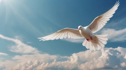 Obraz premium sky funeral background with white dove