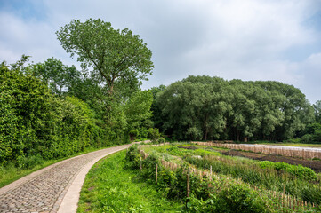 Bending cobble stone road through the park with allotment gardens, Ganshoren, Belgium