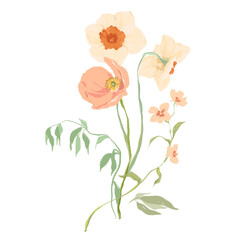 Watercolor abstract flower bouquet of poppy and narcissus. Hand drawn floral card of wildflowers isolated on white background. Holiday Illustration for design, print, fabric or background.