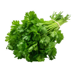 A bunch of parsley isolated on transparent background, png, cut out