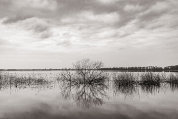Hochwasser an der Oder