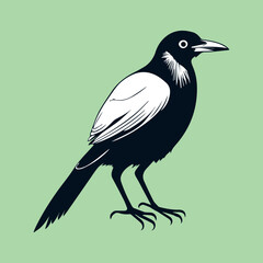 Obraz premium beautiful flying hummingbird vector design